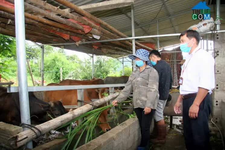 Hình ảnh Mường Than, Lai Châu