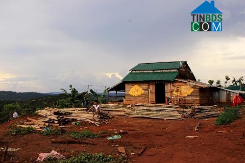 Hình ảnh Đông Gia Nghĩa, Lâm Đồng