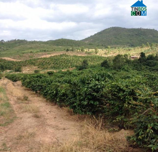 Hình ảnh Gia Hiệp, Lâm Đồng