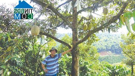 Hình ảnh La Dạ, Lâm Đồng