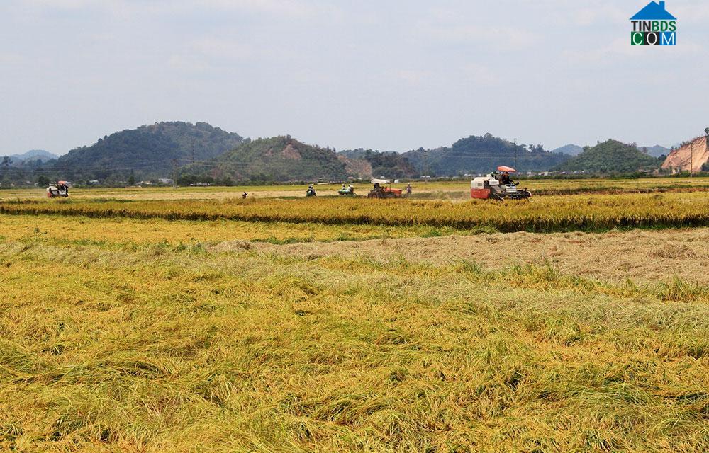Hình ảnh Đạ Tẻh, Lâm Đồng
