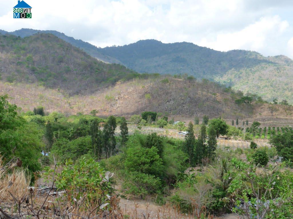 Hình ảnh Hàm Thạnh, Lâm Đồng