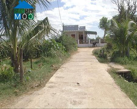 Hình ảnh Hàm Thuận Bắc, Lâm Đồng