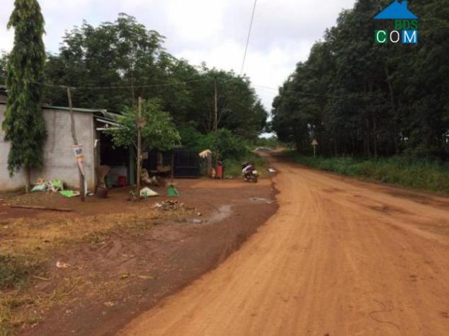 Hình ảnh Kiến Đức, Lâm Đồng