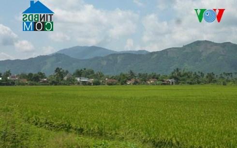 Hình ảnh Nam Thành, Lâm Đồng