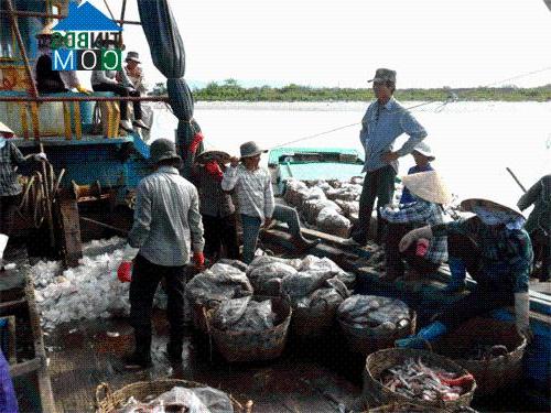 Hình ảnh Sông Lũy, Lâm Đồng