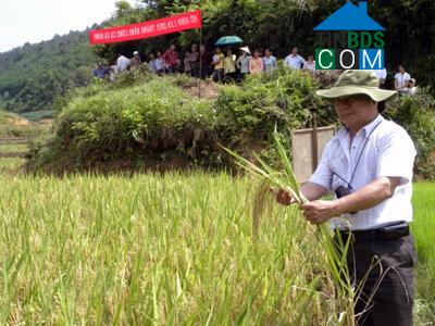 Hình ảnh Chiến Thắng, Lạng Sơn