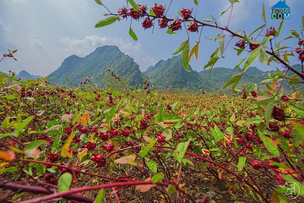 Hình ảnh Vũ Lễ, Lạng Sơn