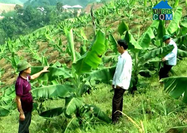 Hình ảnh Bản Lầu, Lào Cai