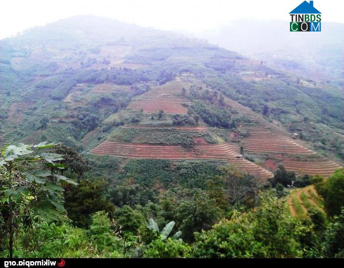 Hình ảnh Bản Liền, Lào Cai