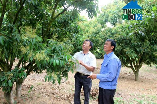 Hình ảnh Quan Sơn, Lạng Sơn