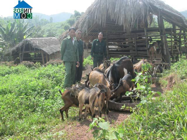 Hình ảnh Khánh Hòa, Lào Cai