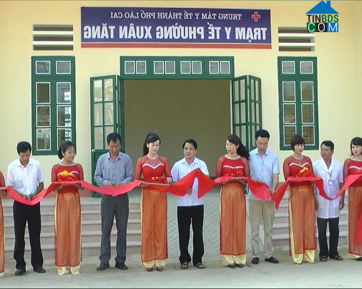 Hình ảnh Cam Đường, Lào Cai