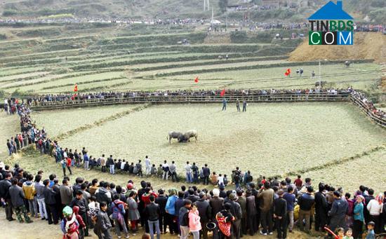 Hình ảnh Cao Sơn, Lào Cai