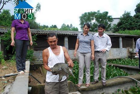 Hình ảnh Cát Thịnh, Lào Cai