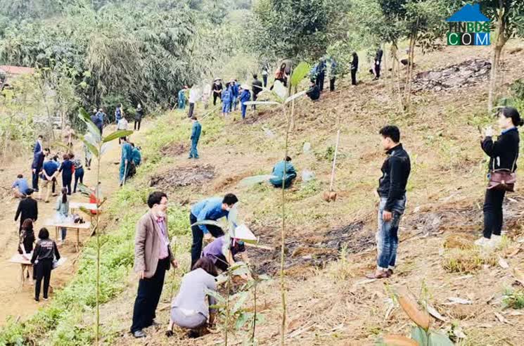 Hình ảnh Cốc San, Lào Cai