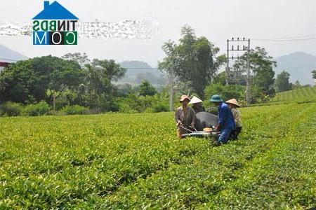 Hình ảnh Gia Hội, Lào Cai