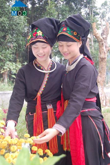 Hình ảnh Tân Hợp, Lào Cai