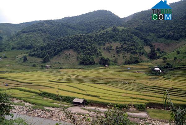 Hình ảnh Minh Lương, Lào Cai