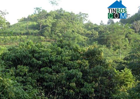 Hình ảnh Phong Hải, Lào Cai