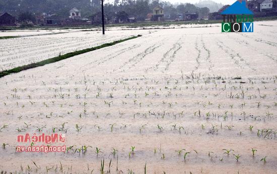 Hình ảnh Vân Tụ, Nghệ An