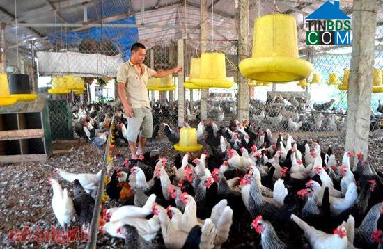 Hình ảnh Vinh Phú, Nghệ An