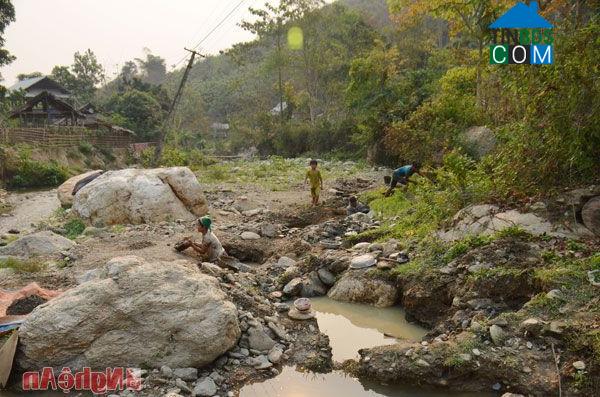 Hình ảnh Yên Na, Nghệ An