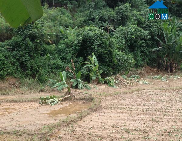 Hình ảnh Trịnh Tường, Lào Cai