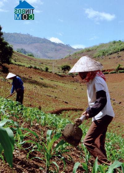 Hình ảnh Văn Chấn, Lào Cai