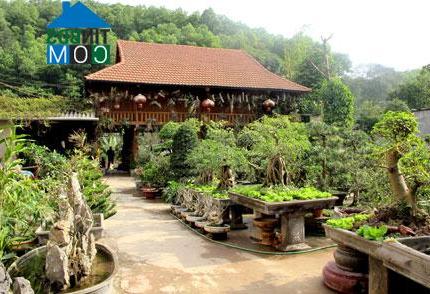 Hình ảnh Văn Phú, Lào Cai