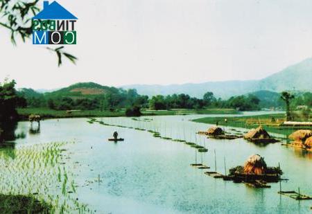 Hình ảnh Việt Hồng, Lào Cai