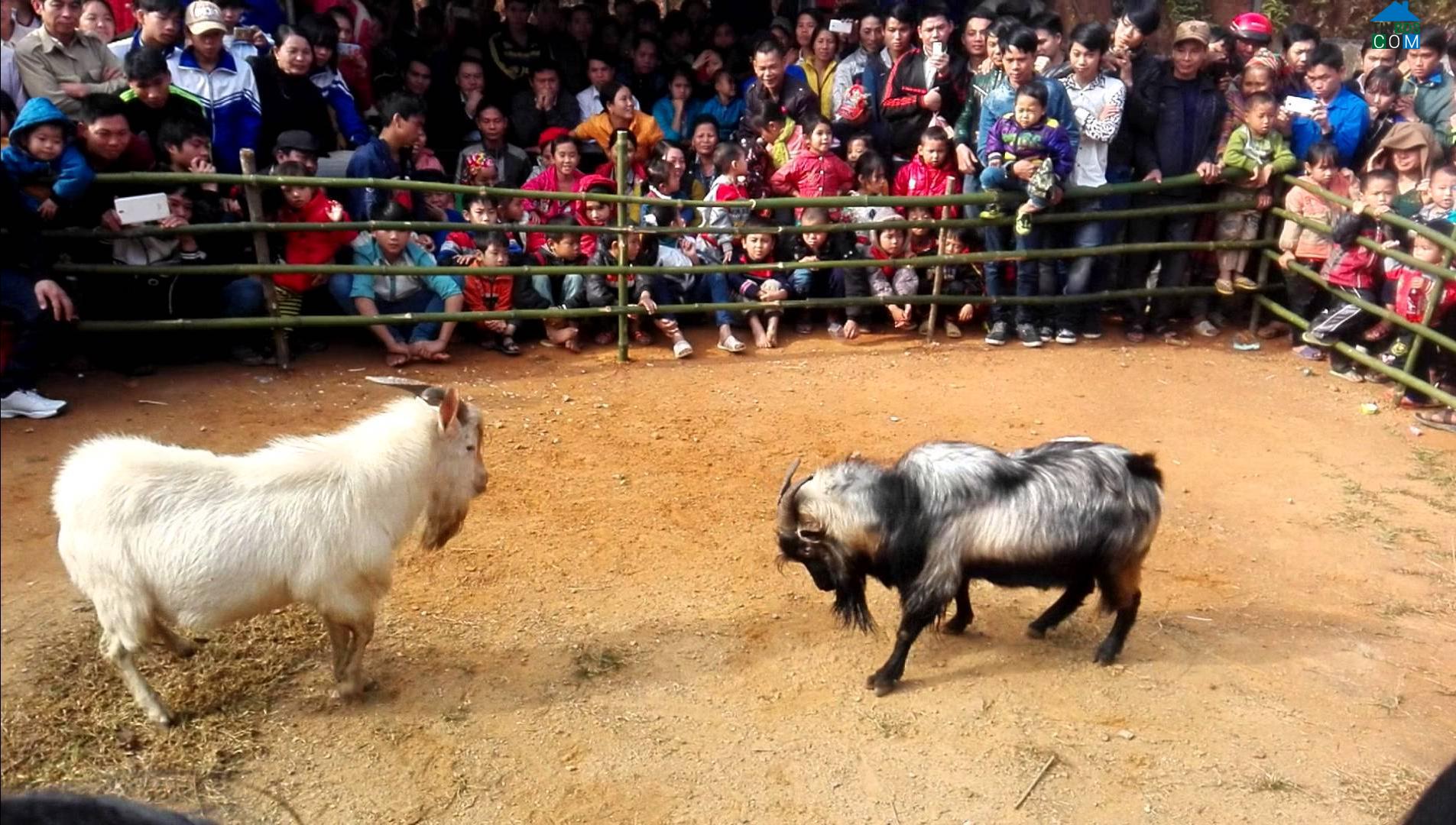 Hình ảnh Xuân Hòa, Lào Cai