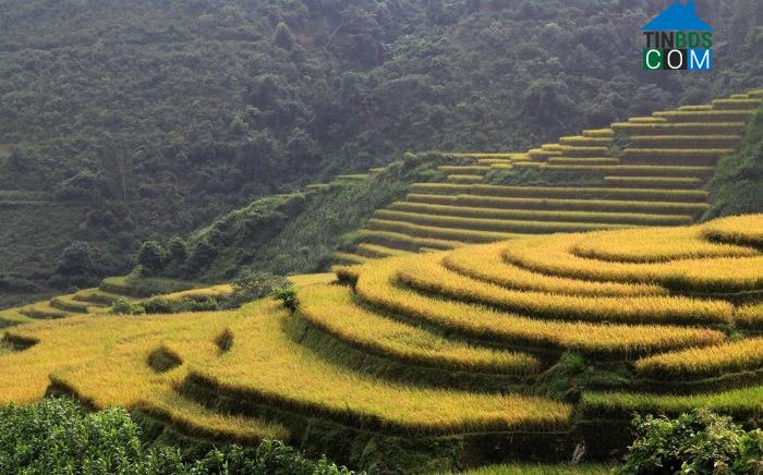 Hình ảnh Y Tý, Lào Cai