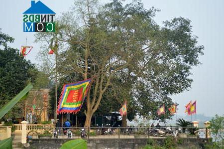 Hình ảnh Yên Bái, Lào Cai