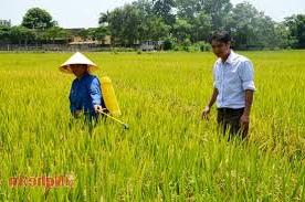 Hình ảnh Anh Sơn, Nghệ An