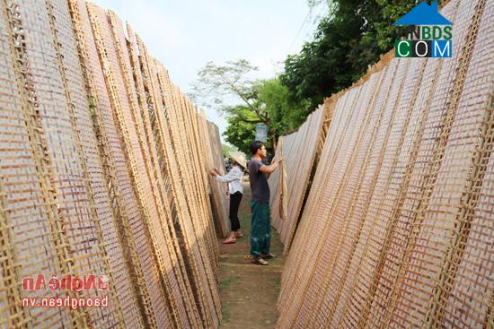 Hình ảnh Cát Ngạn, Nghệ An