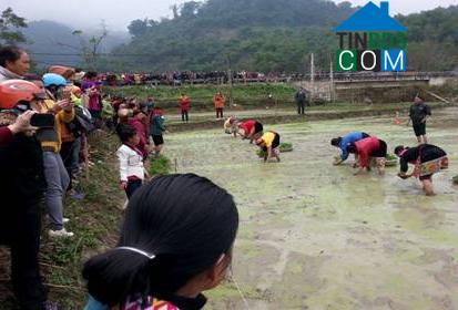 Hình ảnh Tam Quang, Nghệ An