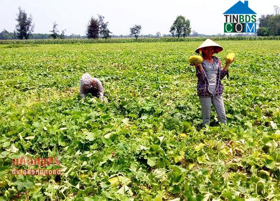 Hình ảnh Đông Lộc, Nghệ An
