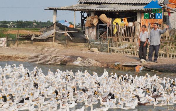 Hình ảnh Đông Thành, Nghệ An