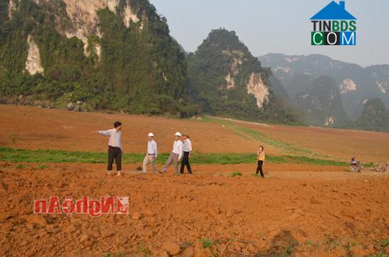 Hình ảnh Nhân Hòa, Nghệ An