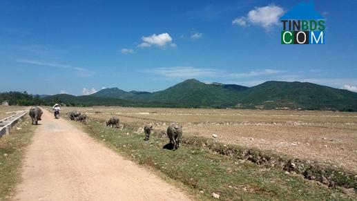Hình ảnh Phúc Lộc, Nghệ An