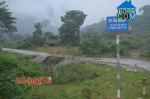 Hình ảnh Mậu Thạch, Nghệ An