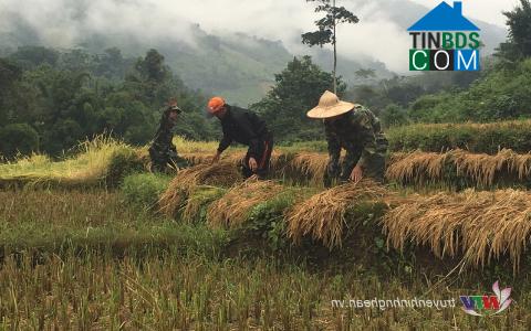 Hình ảnh Na Loi, Nghệ An