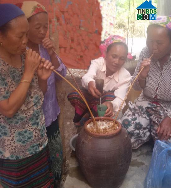 Hình ảnh Nậm Cắn, Nghệ An