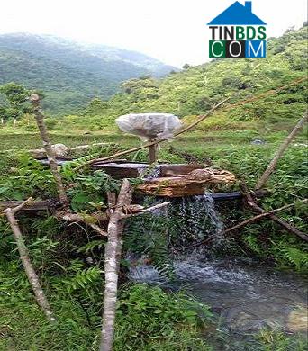 Hình ảnh Sơn Mai, Quảng Ngãi