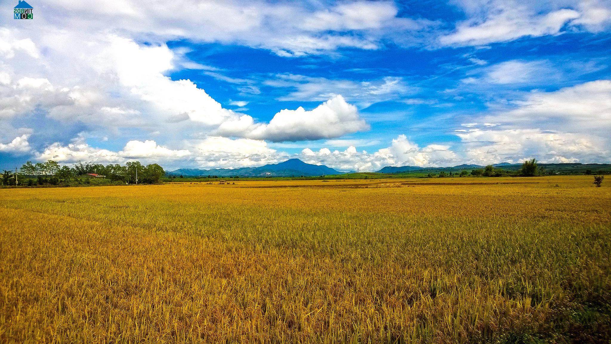 Hình ảnh Kon Tum, Quảng Ngãi