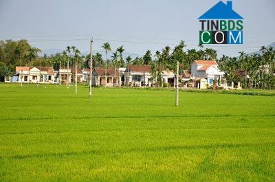 Hình ảnh Mộ Đức, Quảng Ngãi