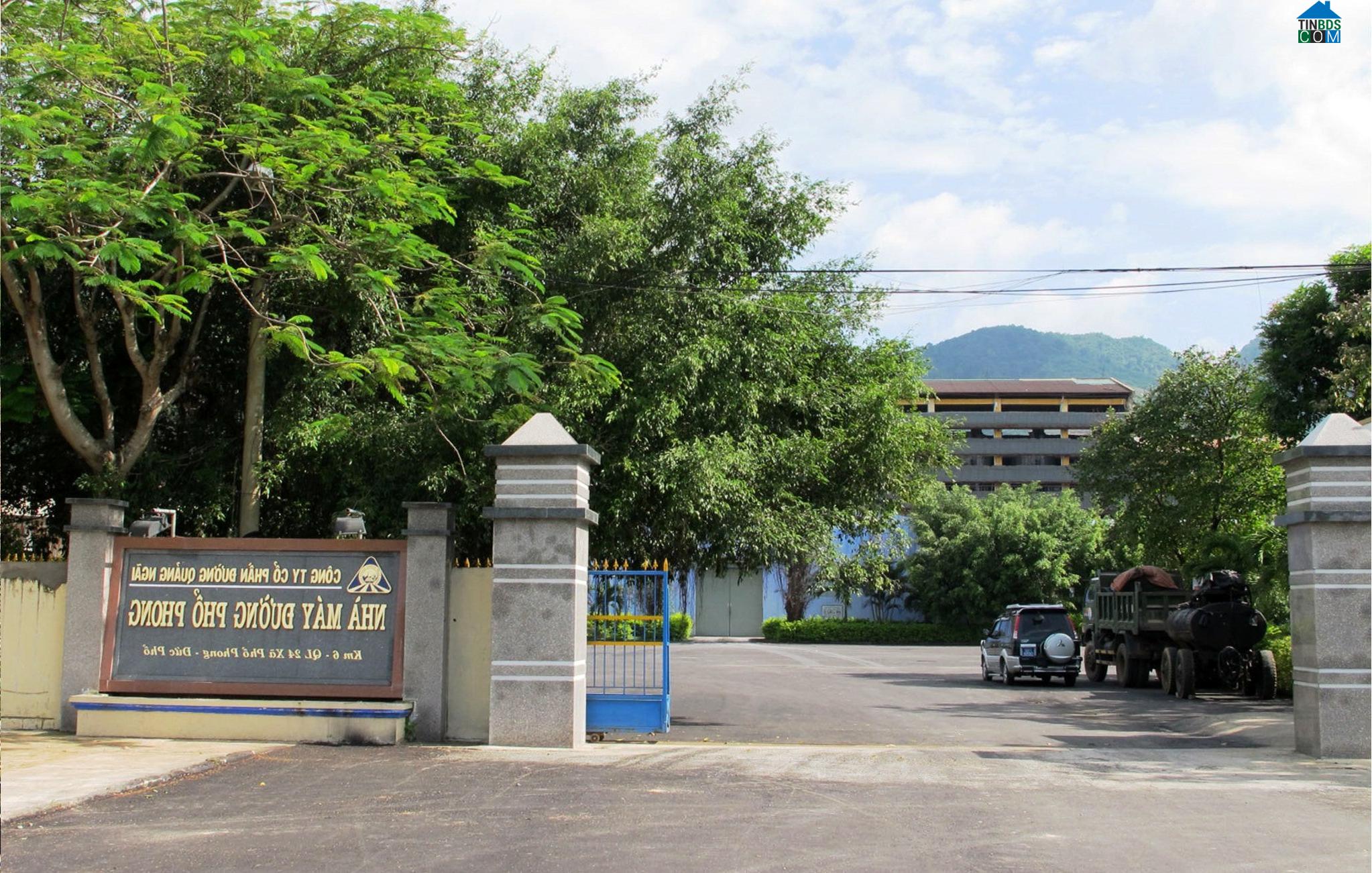 Hình ảnh Nguyễn Nghiêm, Quảng Ngãi