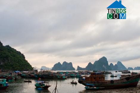 Hình ảnh Cô Tô, Quảng Ninh