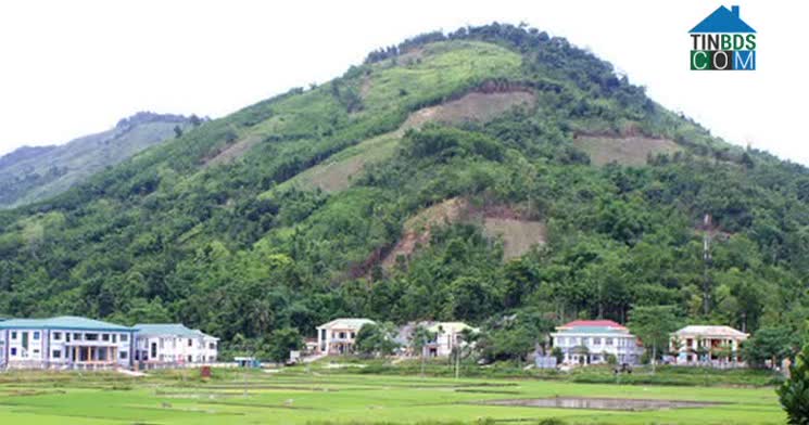 Hình ảnh Tây Trà Bồng, Quảng Ngãi